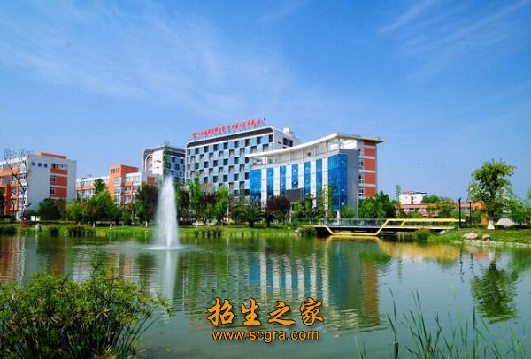 校园美景