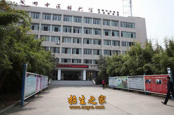 针灸学校