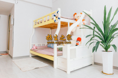 成都灿烈单招培训的校？