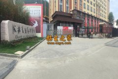 成都青羊区单招培训学？