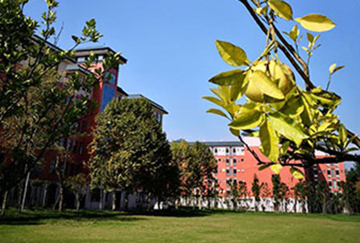 成都广信数字技术职业学校 成都广信数字技术职业学校