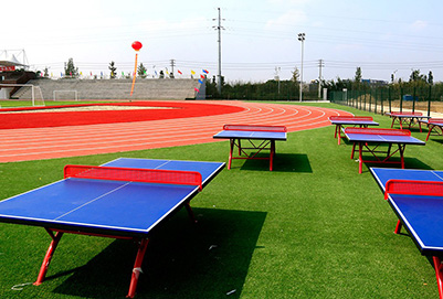 成都艺术职业学院操场环境图片