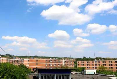 成都艺术职业学院官方网站地址