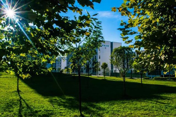 四川省新津县职业高级中学2020年报名指南