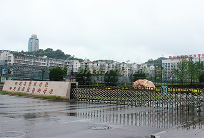 四川蚕丝计算机学校2019年有哪些专业