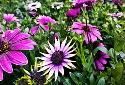 贵州工业计算机职业技术学院中专部网站网址