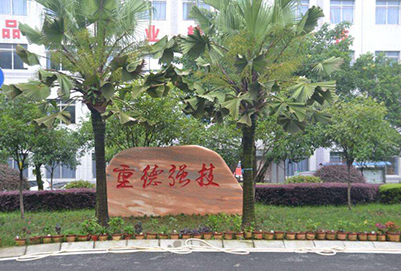 重庆高铁学校去哪里最好?