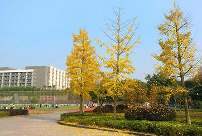 重庆市医药卫生学校3+2学制2019年招生计划