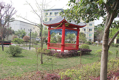 重庆轻轨学校校园环境