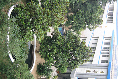 重庆市南丁卫生职业学校2019年招生电话是多少呢