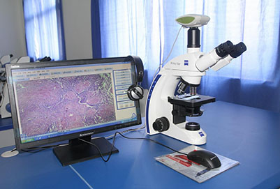 重庆临床医学专业学校学费