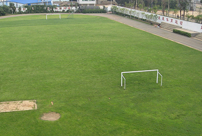 云南省贸易经济学校足球场