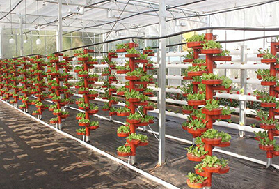 云南省林业高级技工学校温室大棚