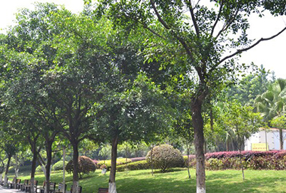 重庆光华女子铁路职业中等专业学校2019年报名条件、招生对象