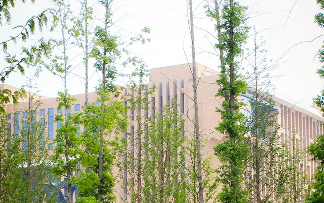 濮阳市卫生学校