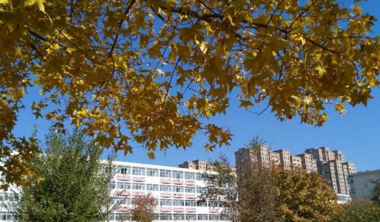 河北科技师范学院