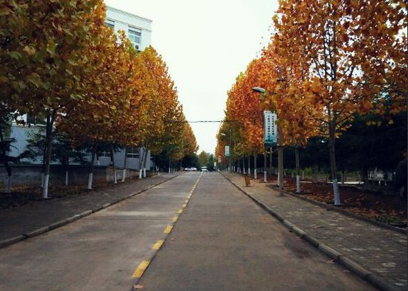 郑州澍青医学高等专科学校