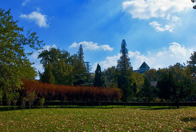 山东大学齐鲁医院