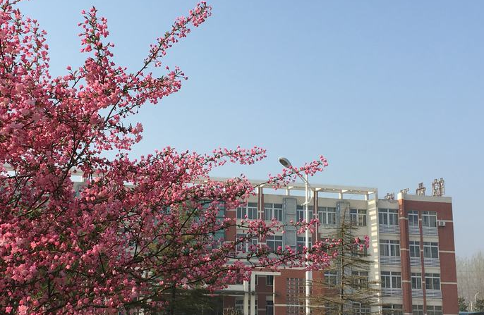 皖北卫生职业学院校园环境