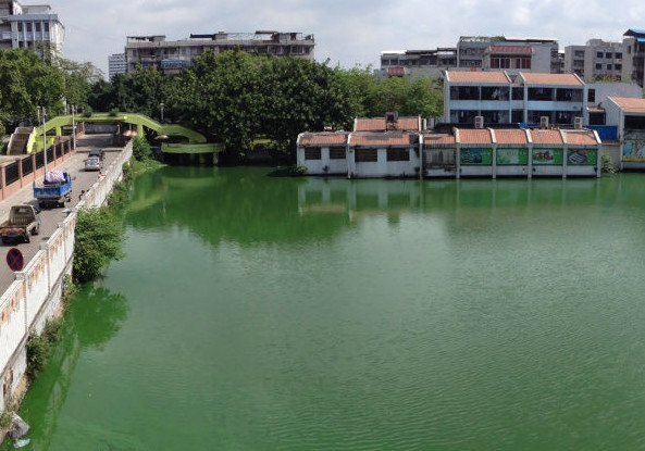 佛山科学技术学院口腔医学院