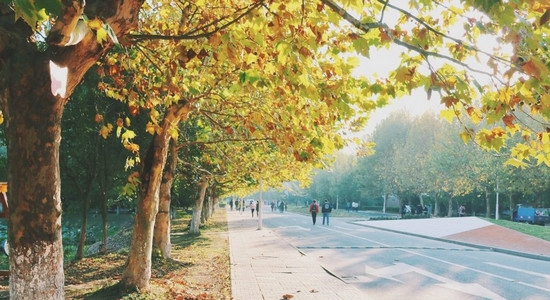 广东食品药品职业学院