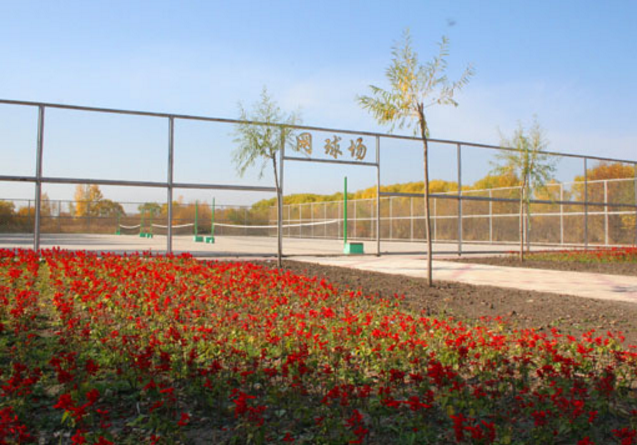 鹤岗师范高等专科学校