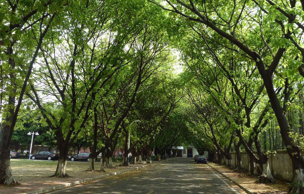 佛山科学技术学院