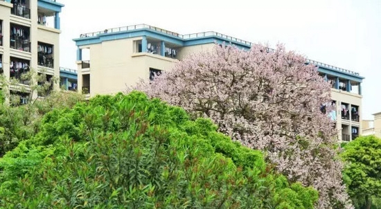 赣南卫生健康职业学院