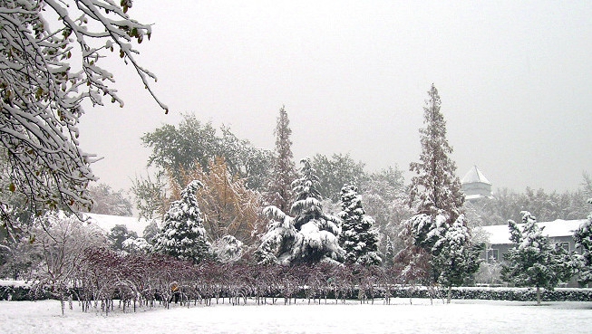 山东大学齐鲁医院