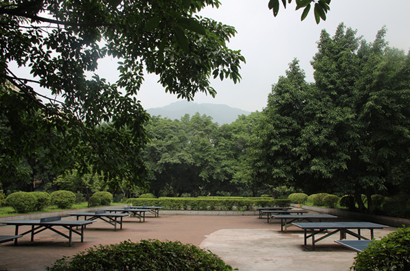 安徽省颍上县卫生学校校园环境