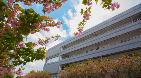 宁波城市职业技术学院