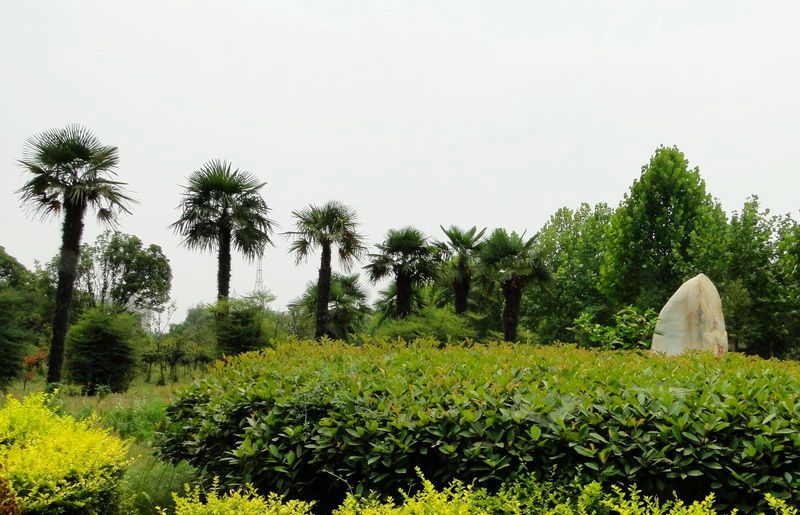 许昌职业技术学院，专业介绍