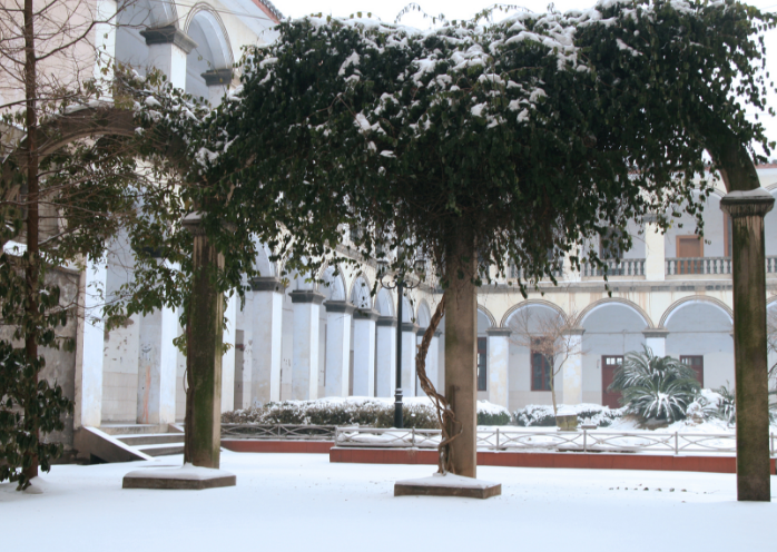 湖南幼儿师范高等专科学校
