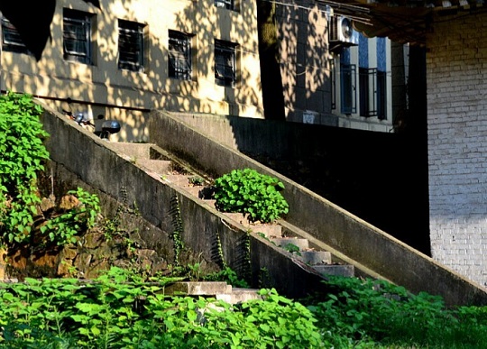 武汉大学医学部