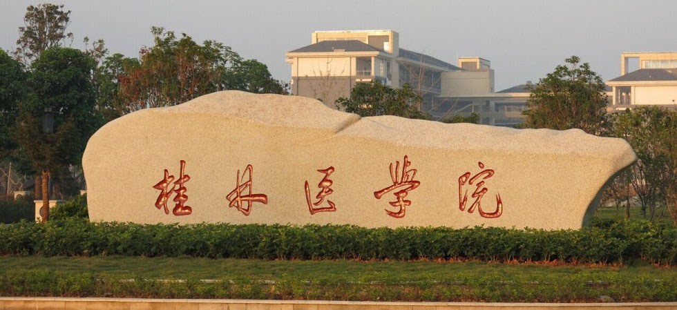 桂林医学院1