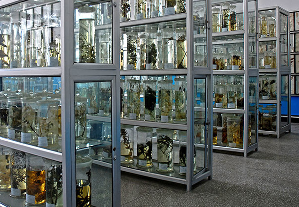 辽宁省辽阳中医药学校