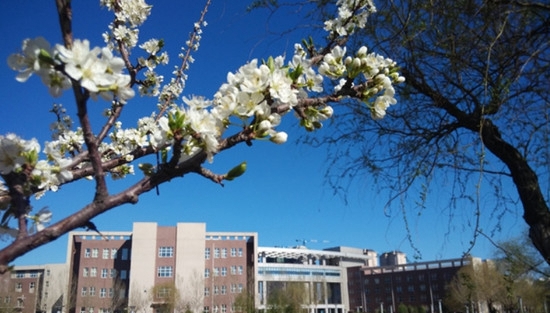 黑龙江齐齐哈尔医学院