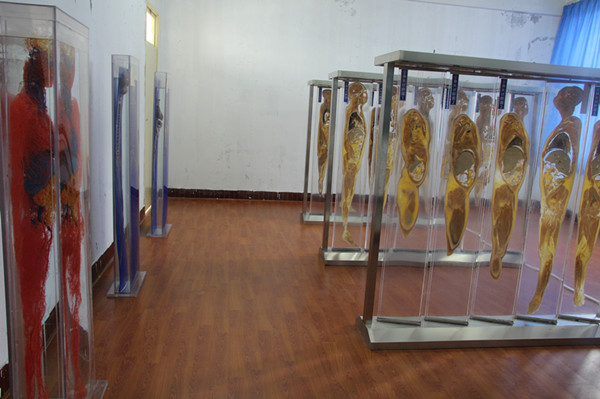 重庆知行卫生学校图片、照片