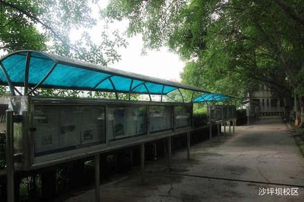 重庆知行卫生学校沙坪坝图片、照片