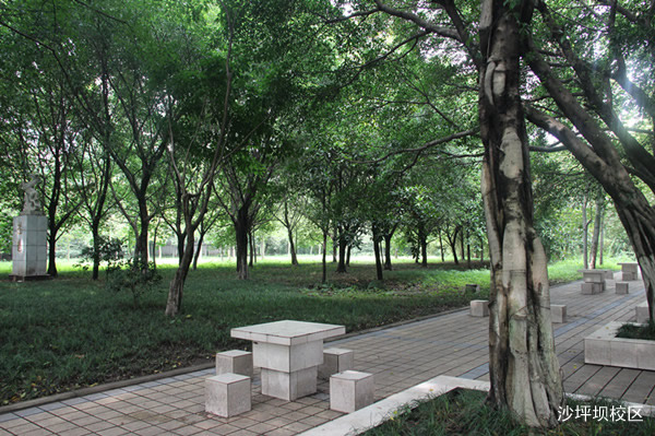 重庆知行卫生学校沙坪坝图片、照片