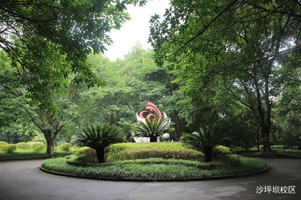 重庆知行卫生学校沙坪坝图片、照片