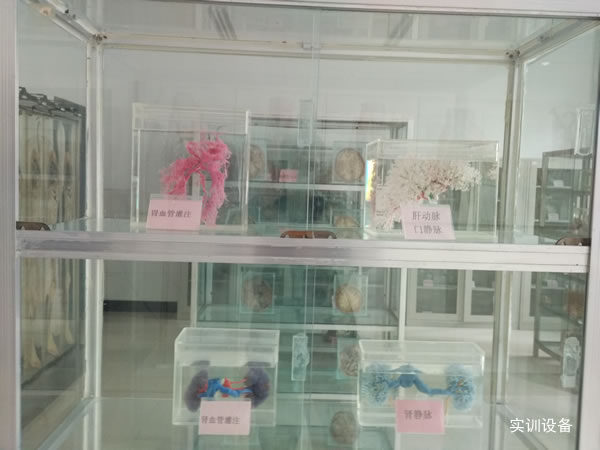 重庆知行卫生学校实训设备图片