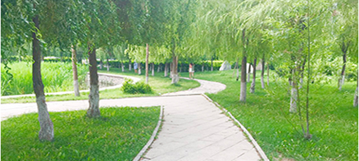 辽宁中医药大学杏林学院