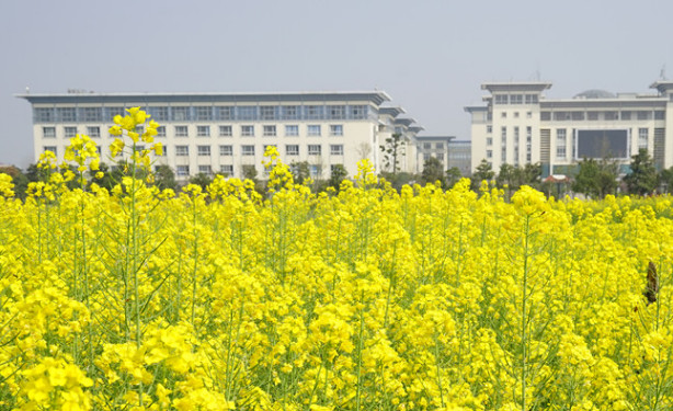 湖北中医药高等专科学校