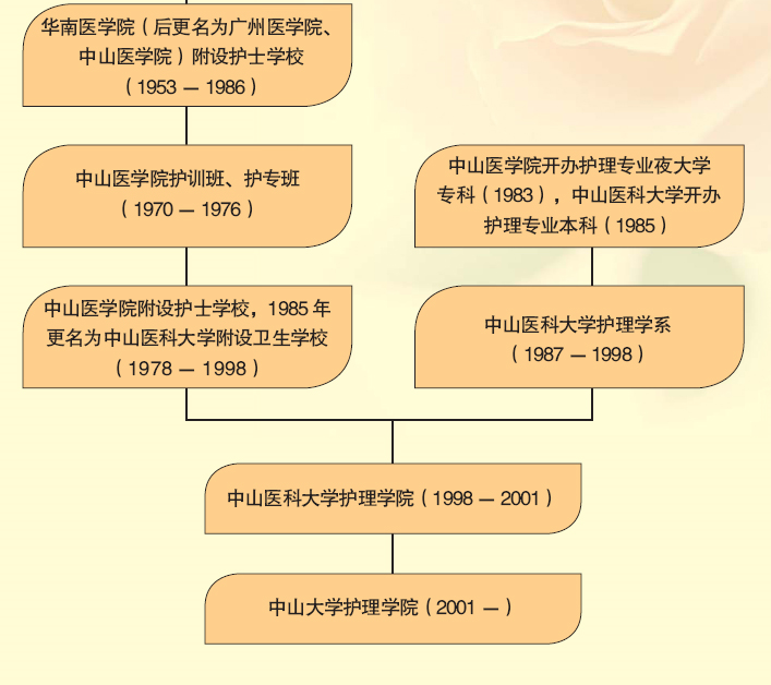中山大学护理学院机构设置
