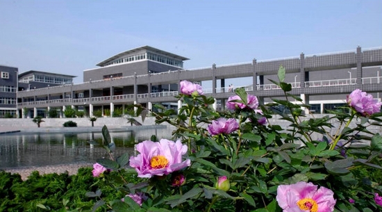 邯郸市卫生学校