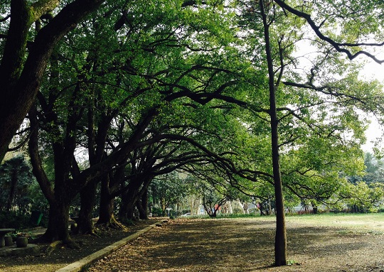 武汉大学医学部