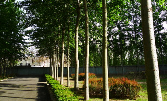 天津市药科中等专业学校