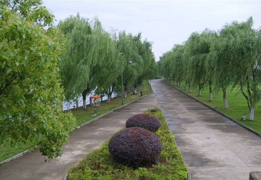 绍兴文理学院医学院