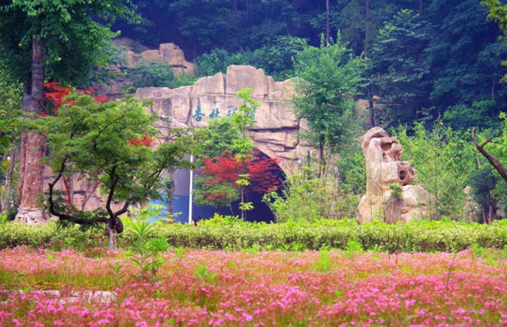 湖北医学院